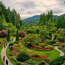 Visit the victoria & butchart gardens + seaplane tour for more information on this option! Pin On The World Was Built To Be Explored