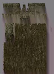 Chicago stage, its records and achievements