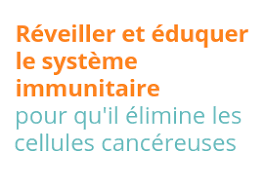 We did not find results for: Immunotherapie Des Cancers Inserm La Science Pour La Sante