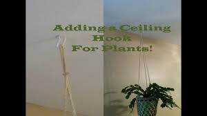 Now that you have lots of hanging plant ideas and know how to hang plants in apartment, what are you waiting for? Adding A Ceiling Hook For Plants Youtube