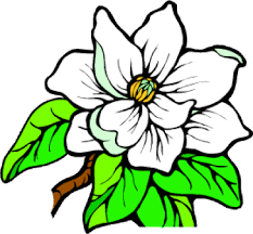New Jersey State Flower Drawing