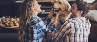 Visit your manchester, ct petco animal supplies for all of your animal nutrition and grooming needs. Ctdoghouse