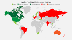 Where Are Nicotine Pouches Legal? Global Guide