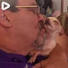 Needy Dog Just Wants Attention