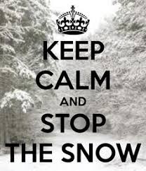 Image result for had enough snow images