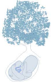 Opednews Article The Move From Scare City Into Abundance Craniosacral Therapy Moving Cranial Sacral Therapy