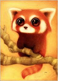 My Dream Pet A Cute Red Panda Drawing Risunki Zhivotnyh Milye Risunki Risunok Pandy