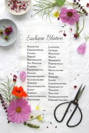 Rezept Essbare Bluten Zum Sommer Festhalten Emma Bee Rezept Essbare Blumen Essbare Bluten Sommersalat