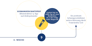 Ivf Kinderwunschzentrum