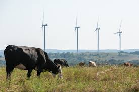 Chuck & Ruth Coffey Family Receives Oklahoma…