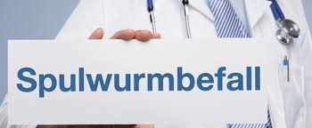 Meinen link will der dumme server nicht annehmen, weil er als vulgär und beleidigend deklariert ist. Wurmerkrankungen Bei Kindern Vorbeugung Behandlung
