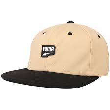 Archive Downtown Fb Cap By Puma 25 95