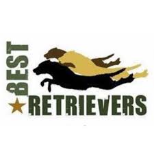 Profile for Best Retrievers
