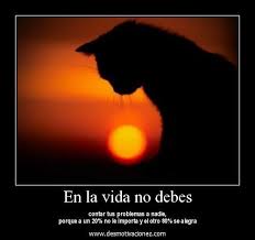 We did not find results for: Desmotivaciones De La Vida Home Facebook