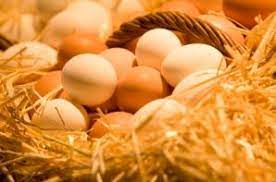 Like the sound of expertly prepared irish food in a gorgeous environment? Irish Easter Traditions How Our Ancestors Would Have Spent The Holiday