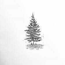 Black And White Christmas Tree Doodle Spruce Christmasornament Christmastree Fir Wallpaper Pine Black And White Font Photo With Images Tree Tattoo Black Black And White Doodle Black And White Painting