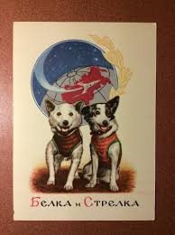 Vintage Ussr Russian Postcard 1961 Soviet Space Propaganda Dog Etsy Space Animals Space Dog Postcard