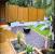 Privacy Patio Landscaping