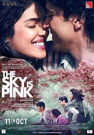 The Sky Is Pink 2019 1 1gb 720p Hdrip Hindi Movie Esubs Pink Full Movie Hd Movies Download Pink Movies