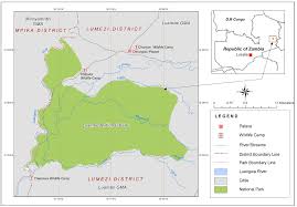 Image result for Eriochloa macclounii