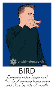 Bird In Sign Language Today S Britishsignlanguage Sign Is Bird Worldbirdday With Images British Sign Language Sign Language Phrases Sign Language