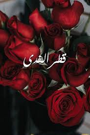 صور اسم قطرالندى صور رومانسية بالورد imagez