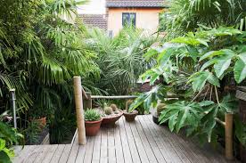 See more of bamboo garden house on facebook. 10 Tropical Plants You Can Grow In The Uk