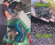 High Quality Color Sorter Spice Black Peppercorn Clove Color Sorting Machine Clove Sort Head and Headless Clove Sorter