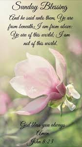 Sing to the lord, for he is highly exalted. Sunday Verses Quotes Pin By Mokey Jones On Daily Blessings Sunday Happy Sunday Quotes Dogtrainingobedienceschool Com