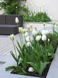 Landscape Gardening Basingstoke Landscapegardeningdegree Beautiful Gardens Garden Design White Gardens
