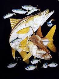 Guy Harvey Mens Xl Blk W Full Color Snook Graphic Logo Pocket T Shirt S S New Guyharvey Graphictee Fish Art Guy Harvey Art Fish Drawings