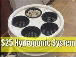 25 Diy Hydroponics 5 Gallon Bucket Deep Water Culture In 2020 Hydroponics Hydroponics Diy Aquaponics System