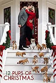 May 25, 2021 · hundreds of puppies purchased during the pandemic are being resold or handed in to rescue centres. 12 Pups Of Christmas 2019 Imdb