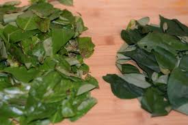 Oha Ora Soup Ofe Oha Sisi Jemimah