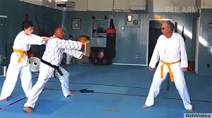 Find gifs with the latest and newest hashtags! Failarmy Funny Humor Fails Laugh Hilarious Karate Martialarts Gifivideo Funny Gif Laugh Humor