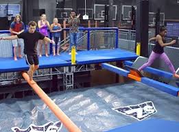 Are you doing home made or commercial raw? Sky Zone Franchise Cost Fees Opportunities And Investment Information