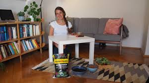 Bestellen sie die gewünschte acrylglas platte direkt in unserem webshop, und wir schneiden sie gerne exakt auf ihr wunschmaß zu. Sukkulenten Tisch Selber Bauen Video Anleitung Plantura