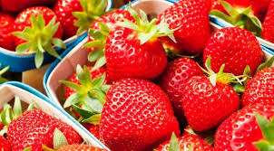 Fraise De Carpentras Http Www Savourez La Provence Fr Blog Gastro La Fraise De Carpentras Reine Sucree Du Printemps Vaucluse Provence