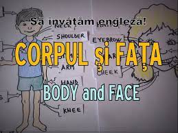 Incisiva, excelent documentata si cu informatii verificate, corpul uman reprezinta manualul acest titlu face parte din categoria cărţi în engleză şi este adus la comandă din marea britanie sau statele unite. Sa Invatam Engleza Corp Si FaÅ£Ä Body And Face Let S Learn English Youtube