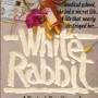 Profile Picture of White Rabbit: A Doctor's Own Story of Addiction, Survival and Recoveryon Google