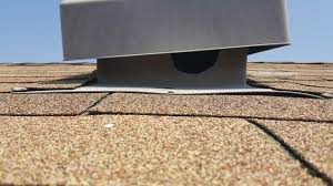 Tickets, tours, address, seaside park beach reviews: Cowleys Pest Services Wildlife Removal Before And After Photos Page 7