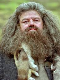 To all the Harry Potter actors we have lost along the way. Thank you for  being apart of the Magic no matter how big or small your part was. Leslie  Phillips (Sorting