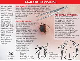 Chto Delat Posle Ukusa Klesha Drive2