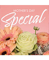 Frederick flowers, 74m flowers, 41shane flowers, 28. Mother S Day Flowers Salisbury Ma Seabrook Nh Arlington Ma Flowers By Marianne