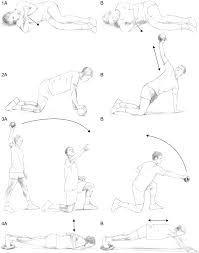 Image result for Shoulder Range of Motion Exercises
