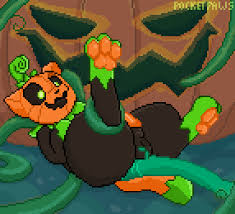 Rule34 - If it exists, there is porn of it  pocketpaws, pumkat  4800868
