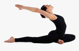 We did not find results for: Download Yoga Asana Png Image Yoga At Home For Beginners Transparent Png Transparent Png Image Pngitem