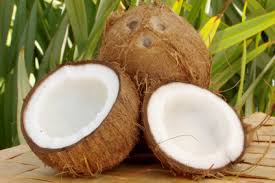 Image result for free images of coconuts and oil