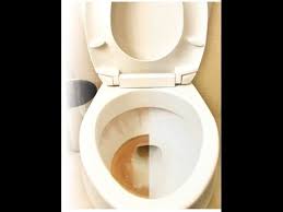 Hard water stains can be extremely irritating to remove from surfaces where lime scale builds up. How To Remove Hard Water Stains From Your Toilet Bowl Youtube Hard Water Stain Remover Cleaning Toilet Stains Clean Rust Stains