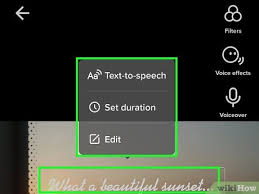 Like most social media platforms, trends quickly come and go on tiktok. How To Do Tiktok Text To Speech 8 Steps With Pictures Wikihow